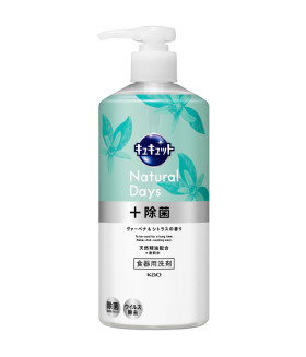 Kyukyutto Dish Detergent Pump, Natural Days,  Verbena & Citrus Scent, 16.2 fl oz (480 ml)